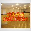学校音乐教室专用合唱台阶 弧形组合式多功能合唱台